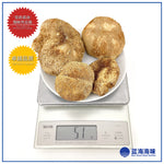 特级猴头菇100克 │ Lion's Mane Mushroom 100g