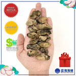 蚝干（S）│ Dried Oyster（S）