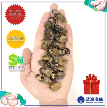 蚝干（SS）│ Dried Oyster（SS）