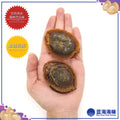 墨西哥干鲍鱼（8-17）│ Mexican Dried Abalone（8-17）