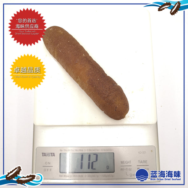 澳洲光秃参 （8-10）｜Australian Sea Cucumber (8-10)