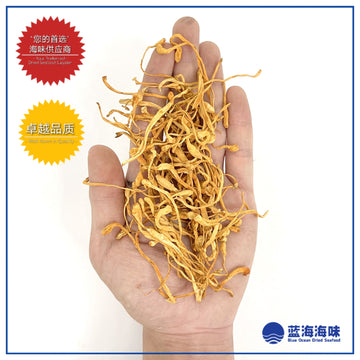 虫草花 │ Cordyceps Flower