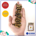 太阳菊牌韩国蚝干 │Sunflower Brand Korean Dried Oysters