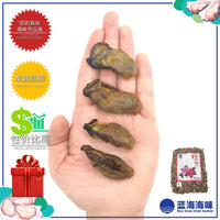 韩国蚝干（2L）│South Korean Dried Oyster (2L)