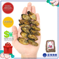 韩国蚝干（M）│ South Korean Dried Oyster (M)