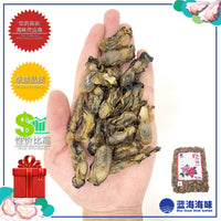 韩国蚝干（SS）│South Korean Dried Oyster (SS)