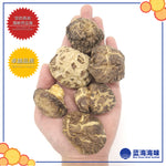 湖北仿木茶花菇 │Hubei Dried Tea Flower Mushroom