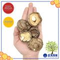 春栽光面菇 │Spring Dried Tea Flower Mushroom