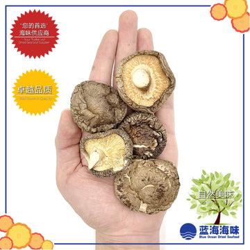 春栽光面菇 │Spring Dried Tea Flower Mushroom