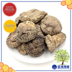 春栽光面菇 │Spring Dried Tea Flower Mushroom