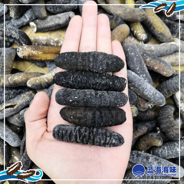 澳洲纹秃参（50-70）｜ Australian Sea Cucumber（50-70）